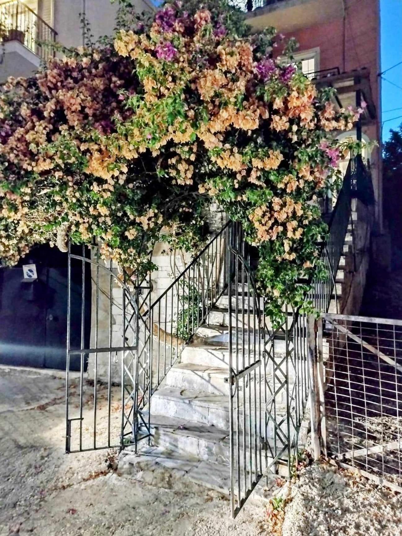 Corfu Pelekas Apartment 2 Exteriér fotografie